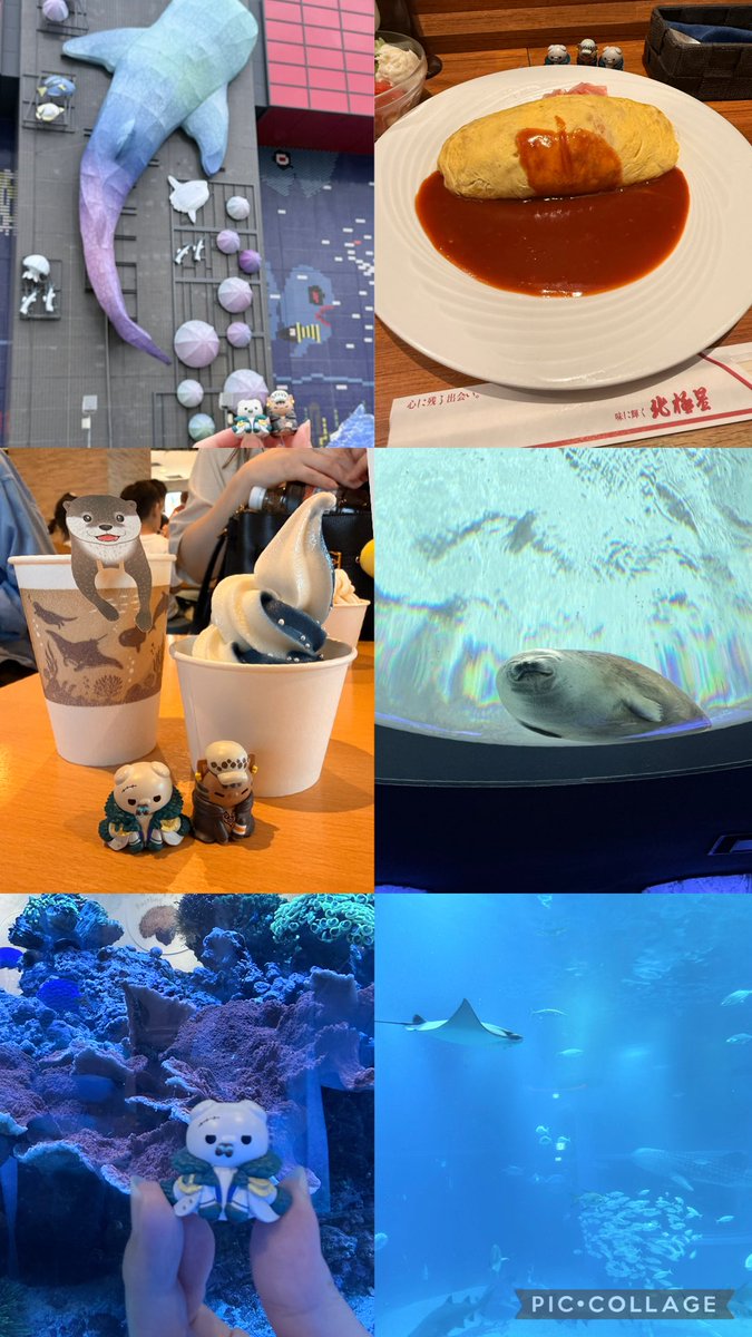 1011_rinco's tweet photo. そしてお魚がいっぱいいたね　にゃんず https://t.co/WzqFujT8RZ