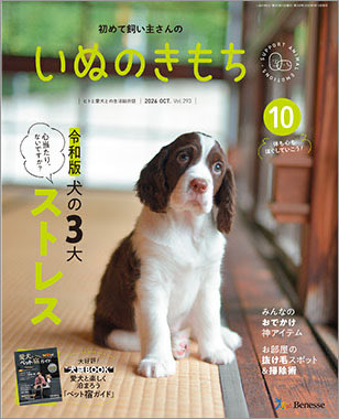 mrn_mrn_mrn_'s tweet photo. 『いぬのきもち』10月号 獣医師の部屋のページのイラストを担当し掲載されております！今回は観葉植物とキャバリア🪴
#獣医師の部屋 https://t.co/PLRk0CXOsa