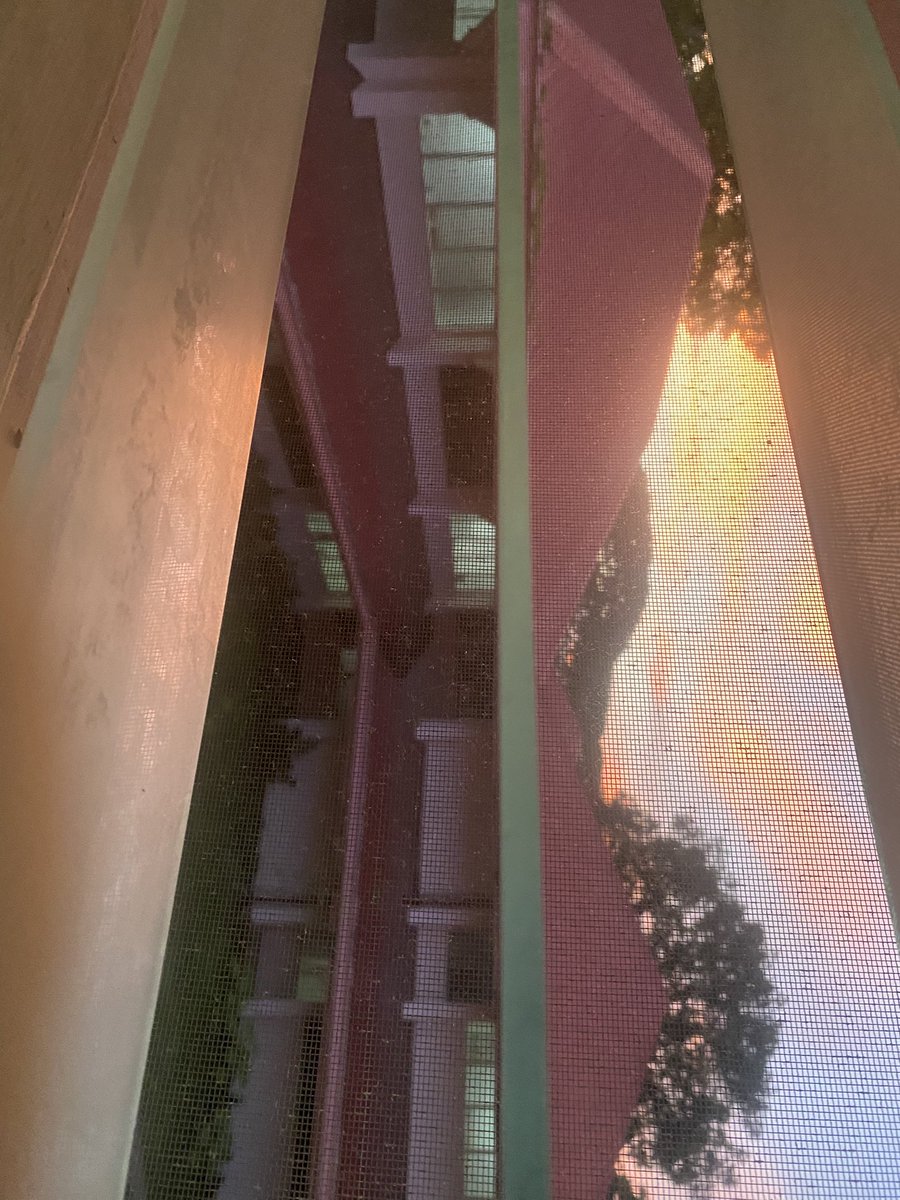 doielvrg's tweet photo. until now. every afternoon view from my dorm in upv: https://t.co/5VR7f5O5bs