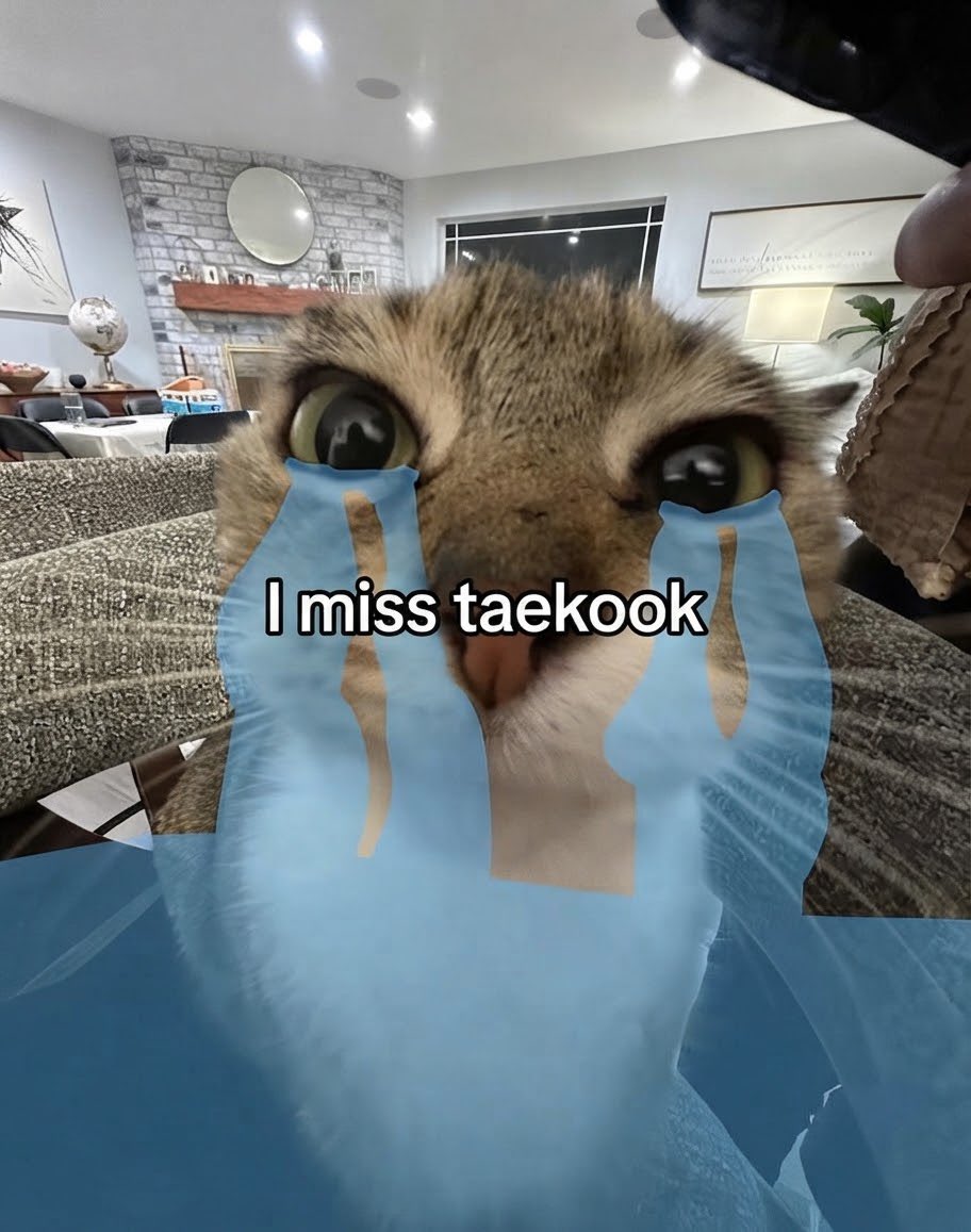 jkissthv's tweet photo. https://t.co/BF7DDhlK30
