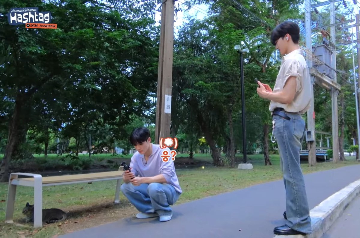 the813Degrees's tweet photo. พี่แจมิน ได้โปรดปล่อยรูปน้องเจโน่เล่นกับแมวที่สวนลุมในโทรศัพท์ของพี่ให้หนุดูด้วย ㅜㅜㅜㅜㅜㅜㅜㅜㅜㅜㅜㅜㅜㅜㅜㅜㅜㅜㅜ https://t.co/VIAjZsqrnn