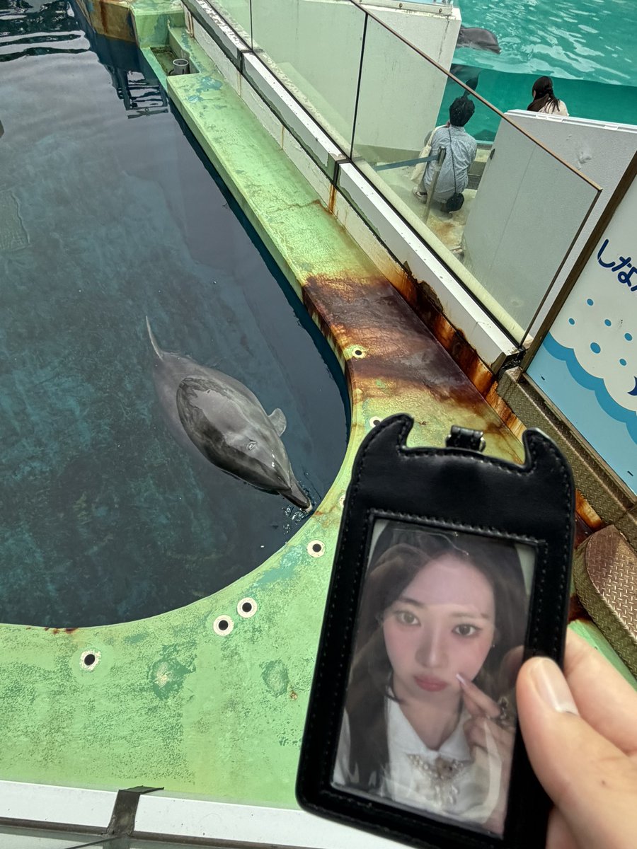 kiri__rora's tweet photo. ロラさん連れて水族館🥰🥰🥰 https://t.co/btAnWDq6iA