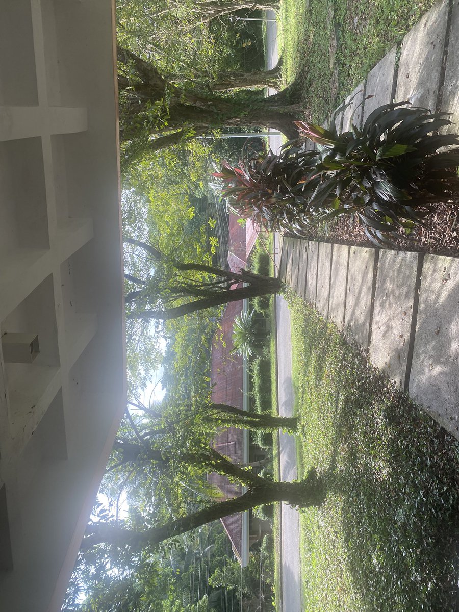doielvrg's tweet photo. ++++ ganda ng sikat ng araw paglabas ko galing dining hall https://t.co/WIcixKaHOH