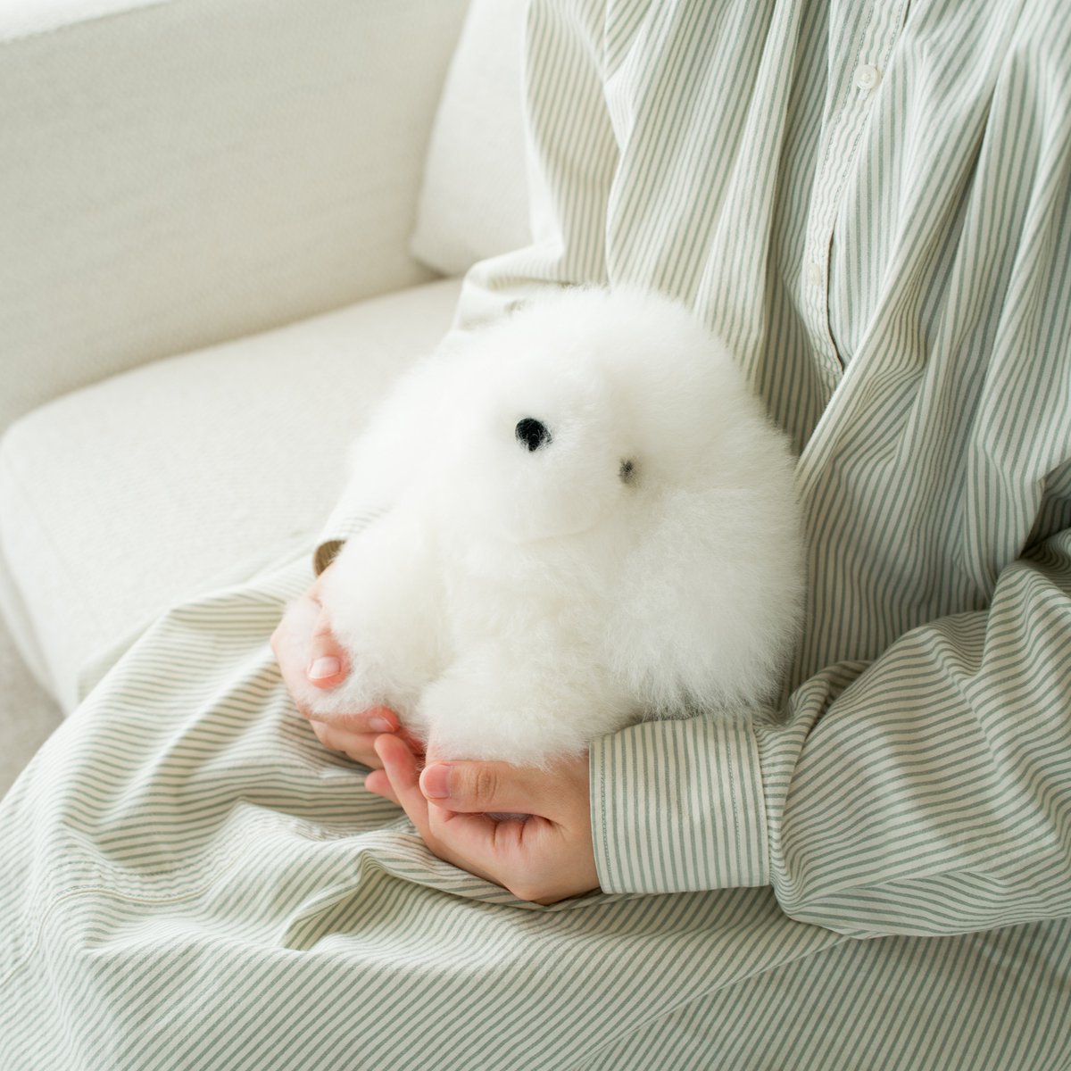 teraoka_natsumi's tweet photo. ベビーアルパカの毛で 犬のぬいぐるみを作ってもらいました🐾 https://t.co/eivZVKHB8N