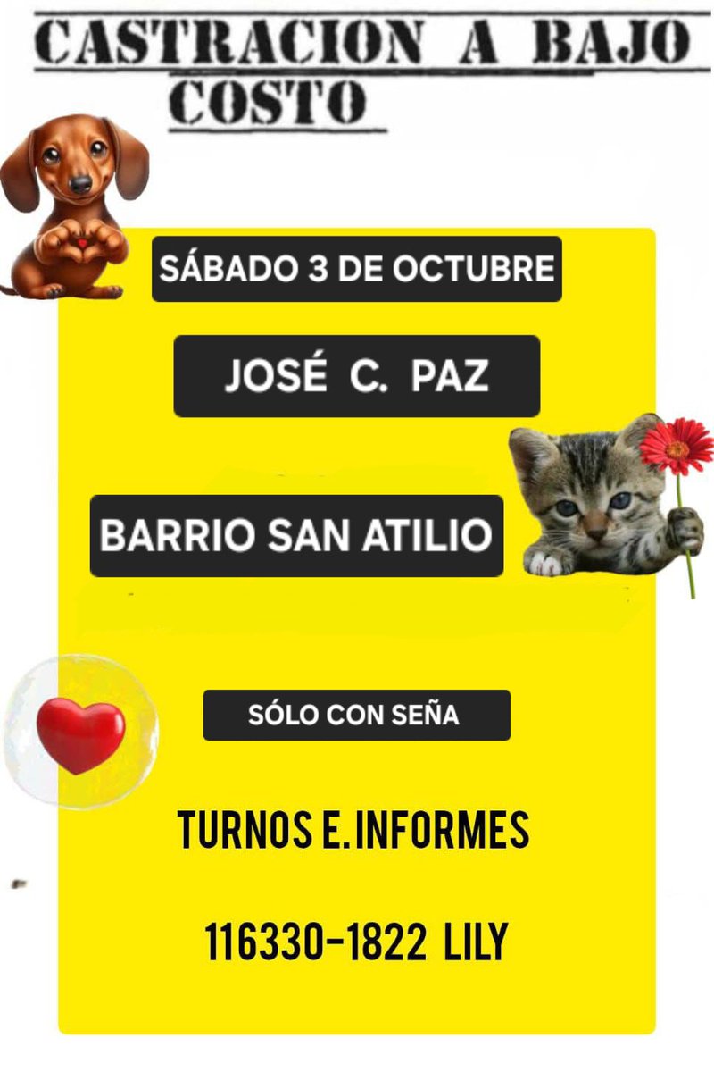protegealanimal's tweet photo. JOSÉ C. PAZ
#JOSÉCPAZ #JCP #BARRIOLABASE #BARRIOPIÑERO #BARRIOLAPAZ #LAPAZ #BARRIOLAMAS #BARRIOSOLYVERDE #SOLYVERDE #BARRIOPROVIDENCIA #LAMAS #BARRIOSANATILIO #SANATILIO #BARRIOALTUBE #ALTUBE #ALBERDI #BARRIOPRIMAVERA #ZONANOROESTE #GRANBSAS #BSAS #BUENOSAIRES #CONURBANO https://t.co/IrSZkqNTHx