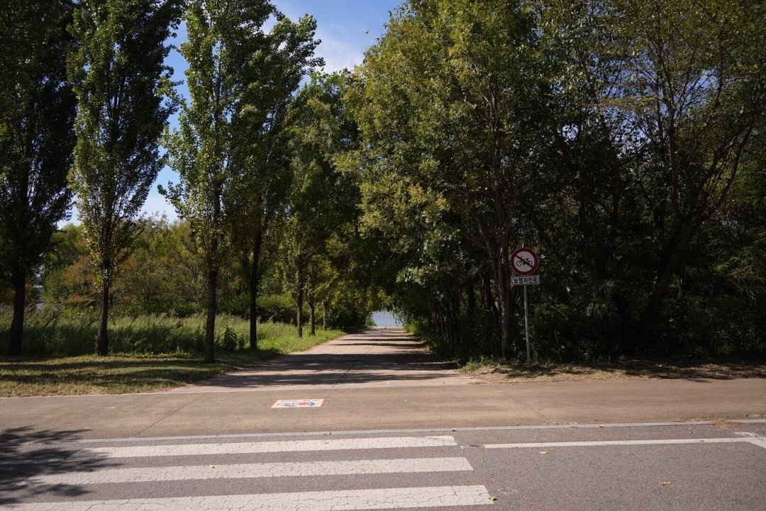 jojjoand_'s tweet photo. The views to calm yourself. Love the green. https://t.co/UK8WVbzgdw
