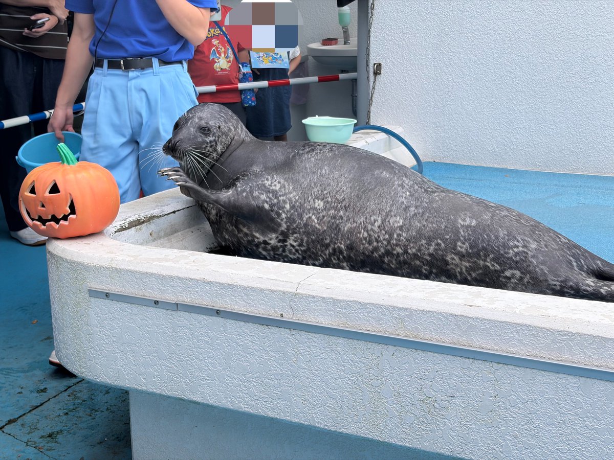compas53's tweet photo. 浜焼きを食べ水族館へ行き最後は焼肉を食って帰ってきた
楽しかった https://t.co/PFjAE13D0V