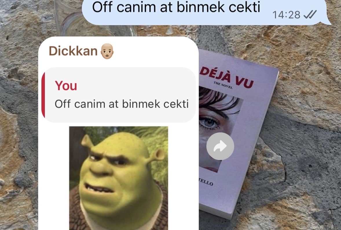 itsduvie's tweet photo. Canim gunlerdir at binmek ve at yarisi izlemek istiyo amk ruyama bile girdi bugun neden https://t.co/xQ16Q3s5dU