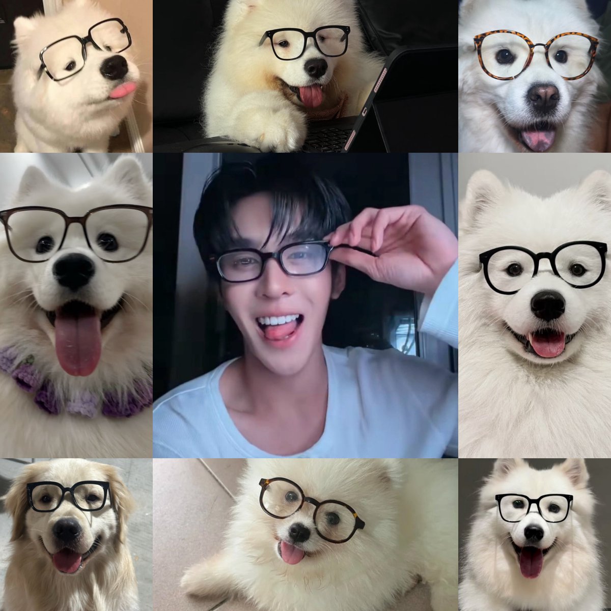 kokkodecoco's tweet photo. 🥺🥺🥺🥺🥺🥺 ( #auautnp ♡ ) https://t.co/YGFtgAh0ab