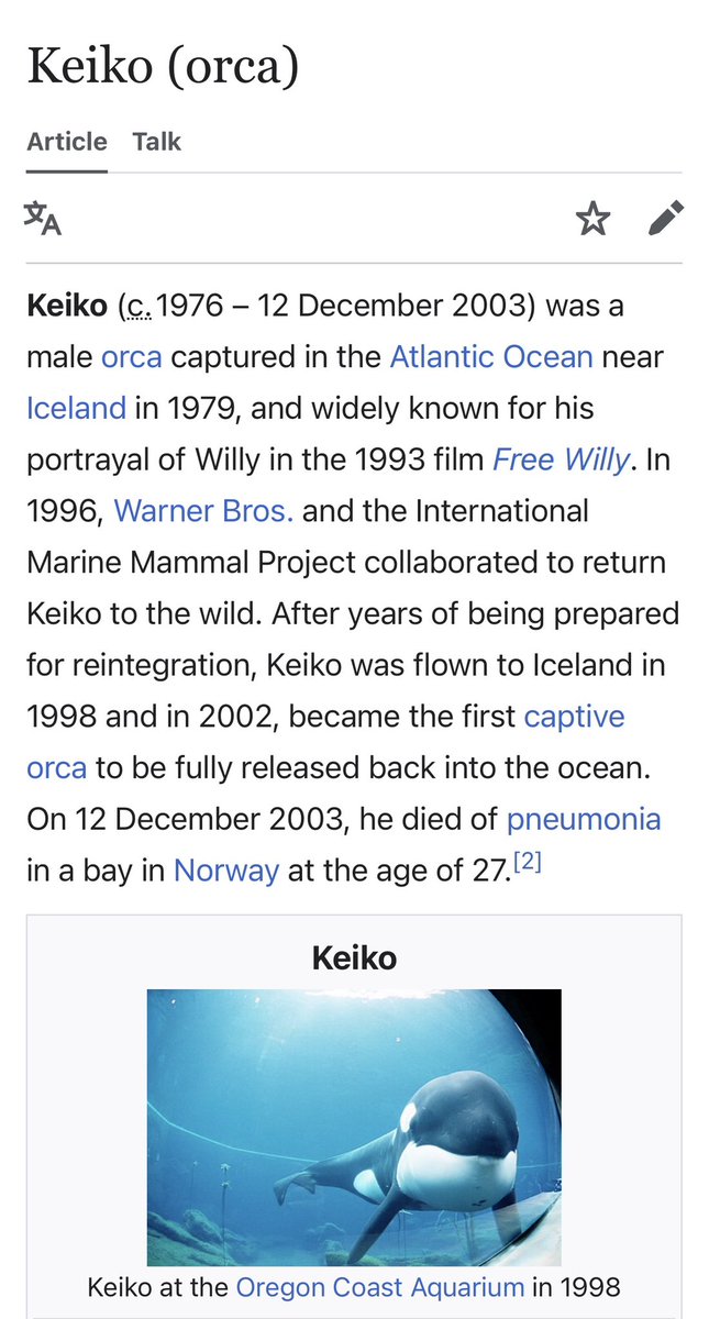 Bentoshi0x's tweet photo. Just did a little research on $KEIKO on @Aqua_Launchpad 
And it has good narrative. 

I don’t know why the Dev is silent, but if solana:AQVcP67EpMyu4cBZZjqMu91cVsWy1aX98JmcZm1FyY9  continues to run, I think this will do well. 
$KEIKO Send it 🐬🐳🔥🐋🦈💨💨

Ca/ SwJ7g6rEFRoFWwGHoYjHEJvS4fG3h6LaWUiM85vJZbk

@citadelwolff @_laseasy  can you look into this let’s send it. 💨