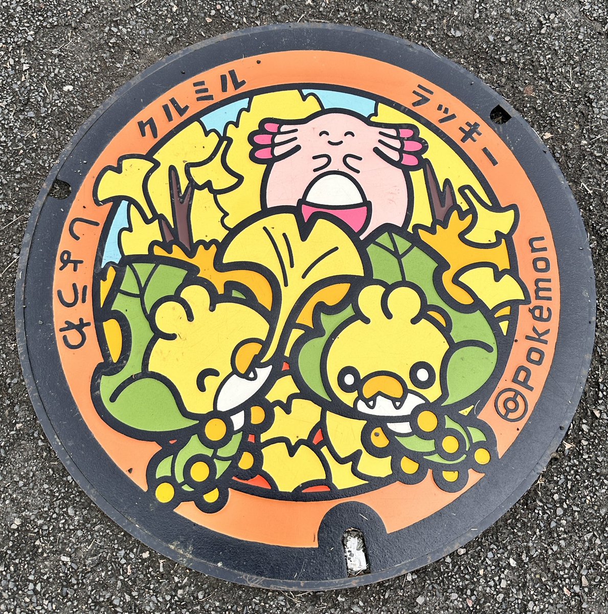 ChachaPoke2026's tweet photo. 福島県ポケふた43ヶ所目ようやく行けて福島自力コンプしました！うちから車で2時間、途中に大嫌いな長いトンネル3ヶ所（4キロくらい）😣ずっと先送りしてましたが冬は雪深すぎて行かれなくなるので秋晴れの今日行ってきました。ラッキー公園もありました🥰
残すは長崎2ヶ所！（でも長野ももうすぐ？） https://t.co/zxB6HddL0T