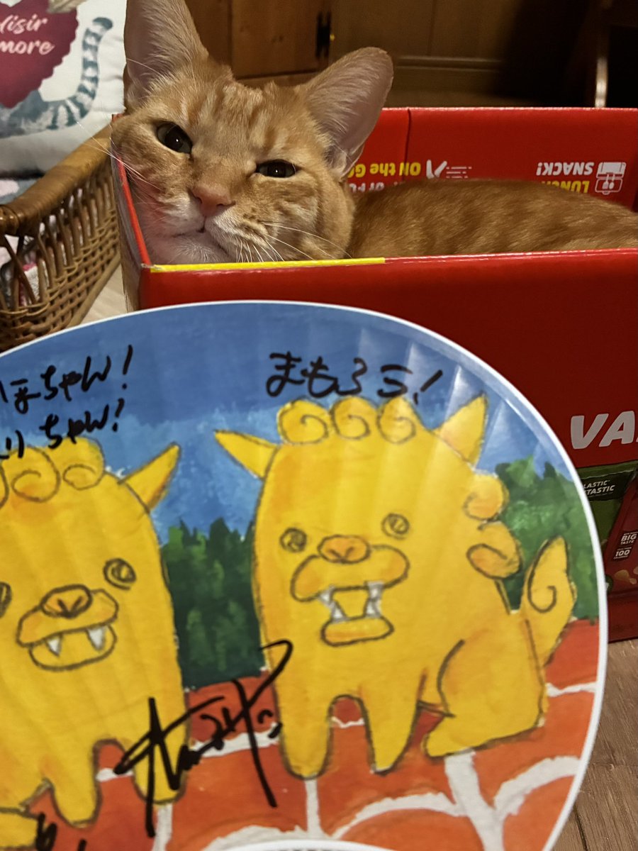 kaporing_jp's tweet photo. 無事帰宅🐾 https://t.co/DByh84M1g9