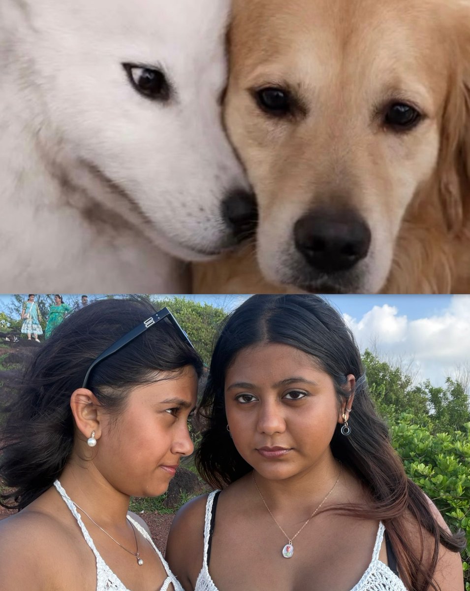 SakthivelBca's tweet photo. All the poses are cute 🤣🤣🏃🏃

What you think about this? https://t.co/PFwBznvPzA