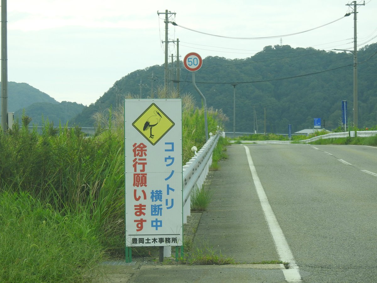 RsONN2yEzmMHtRy's tweet photo. 本日コウノトリといえばの豊岡へ

コウノトリは頑張っている、後は人間がどれだけハイペースに付いていけるか

野生からの捕獲時にコウノトリとした「いつか野生に帰す」の約束の意味は「安心して暮らせる日本を作る」まで含めよう

今日はいろいろな話が聞けた。ありがとうございました https://t.co/CqWtWMxQVH