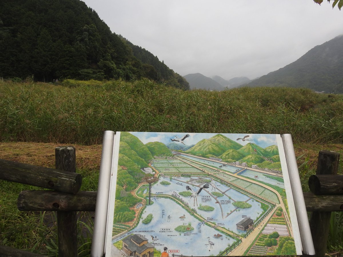 RsONN2yEzmMHtRy's tweet photo. 本日コウノトリといえばの豊岡へ

コウノトリは頑張っている、後は人間がどれだけハイペースに付いていけるか

野生からの捕獲時にコウノトリとした「いつか野生に帰す」の約束の意味は「安心して暮らせる日本を作る」まで含めよう

今日はいろいろな話が聞けた。ありがとうございました https://t.co/CqWtWMxQVH