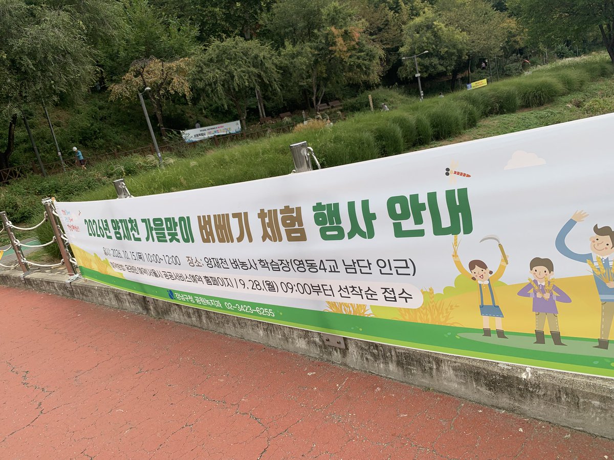 kate3der's tweet photo. 올해 양재천 허수아비는“… 송아지 생김!!
벼배기 체험이라…. 이미 둘기들이 많이 먹고 가서…🙄얼마 남지도 않은듯;; https://t.co/5xYUpGKF3D