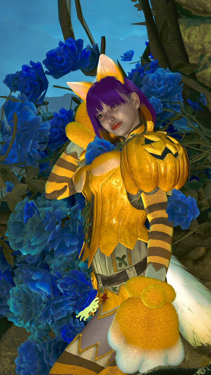 rianchu_game's tweet photo. なかなか納得いくのが撮れません
踊ってる所とか
どうやったら上手く撮れるんだァ〜
ハロウィン衣装せっかく作ったのに…
それと、イベクエ前からあるのにどんだけやってなかったのだろう…
今は重ね着作るの優先になって楽しんでます(´>∀<｀)ゝ
#モンハンワイルズ写真 #モンハンワイルズ重ね着 https://t.co/ngh9RjouuI