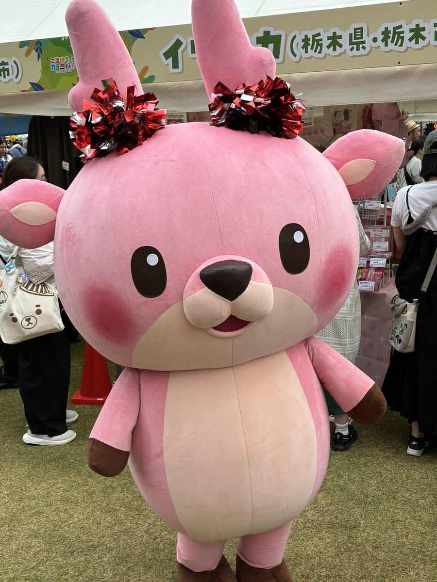 rocketvalgar's tweet photo. 疲れる��楽しき2日間でした
キャラの皆様有難うございました
#ご当地キャラカーニバル2026 
#たかたのゆめちゃん 
#イワシカちゃん 
#くまモン
#ひこにゃん https://t.co/AlSDz0XVCu