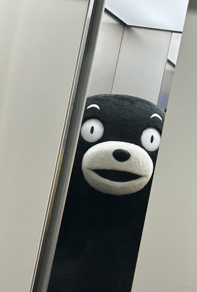 happymonmonmon's tweet photo. @55_kumamon こんちくわー🍢
モンちゃん
今日もたくさん楽しい時間を過ごしたんだね
また明日ね💤 https://t.co/B2E95xiuuI