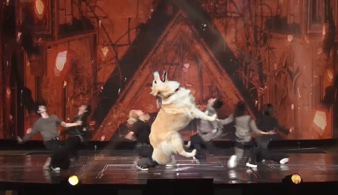 shsangtae's tweet photo. 진짜 레일라 넣어도 나는 이해해 진짜 제발 페탈트 누가 부활좀 시켜줘 https://t.co/TK4Q6gILJh