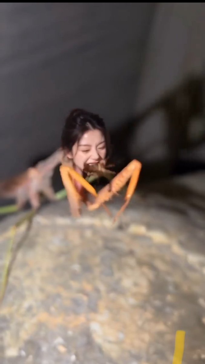 Playful Outdoor Evening Video