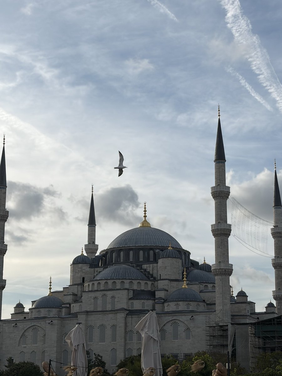 havvakrh's tweet photo. Eylül | 27 https://t.co/PXY4XaIdZ7