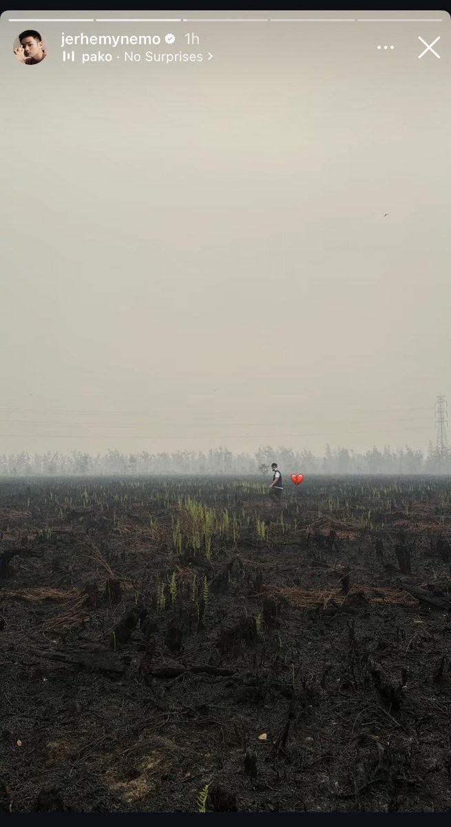 LambeSahamjja's tweet photo. kalimantan di bakar buka terbakar ini mah https://t.co/lQZjKdngK7
