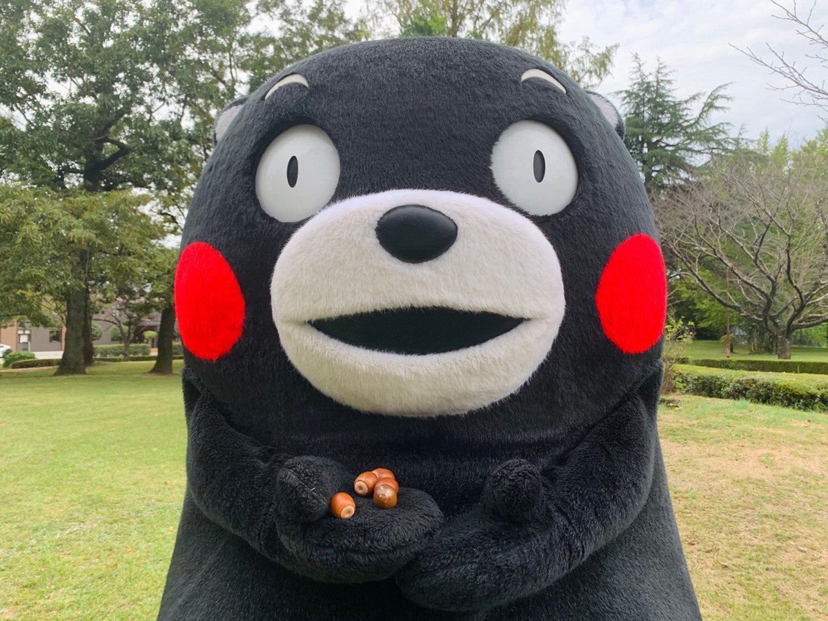 happymonmonmon's tweet photo. グーないと☀️
モンちゃん
ゆっくま休んでくまさいね🐻 https://t.co/vxaEshqQLh