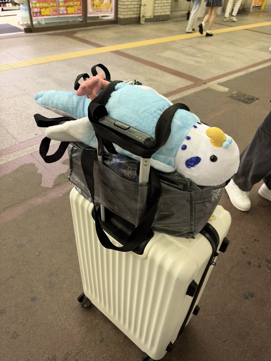 lpo_on's tweet photo. 頂いたセキセイぬい(リュック)、手荷物で抱きしめて帰る🫂 https://t.co/OjWUcjzCvg