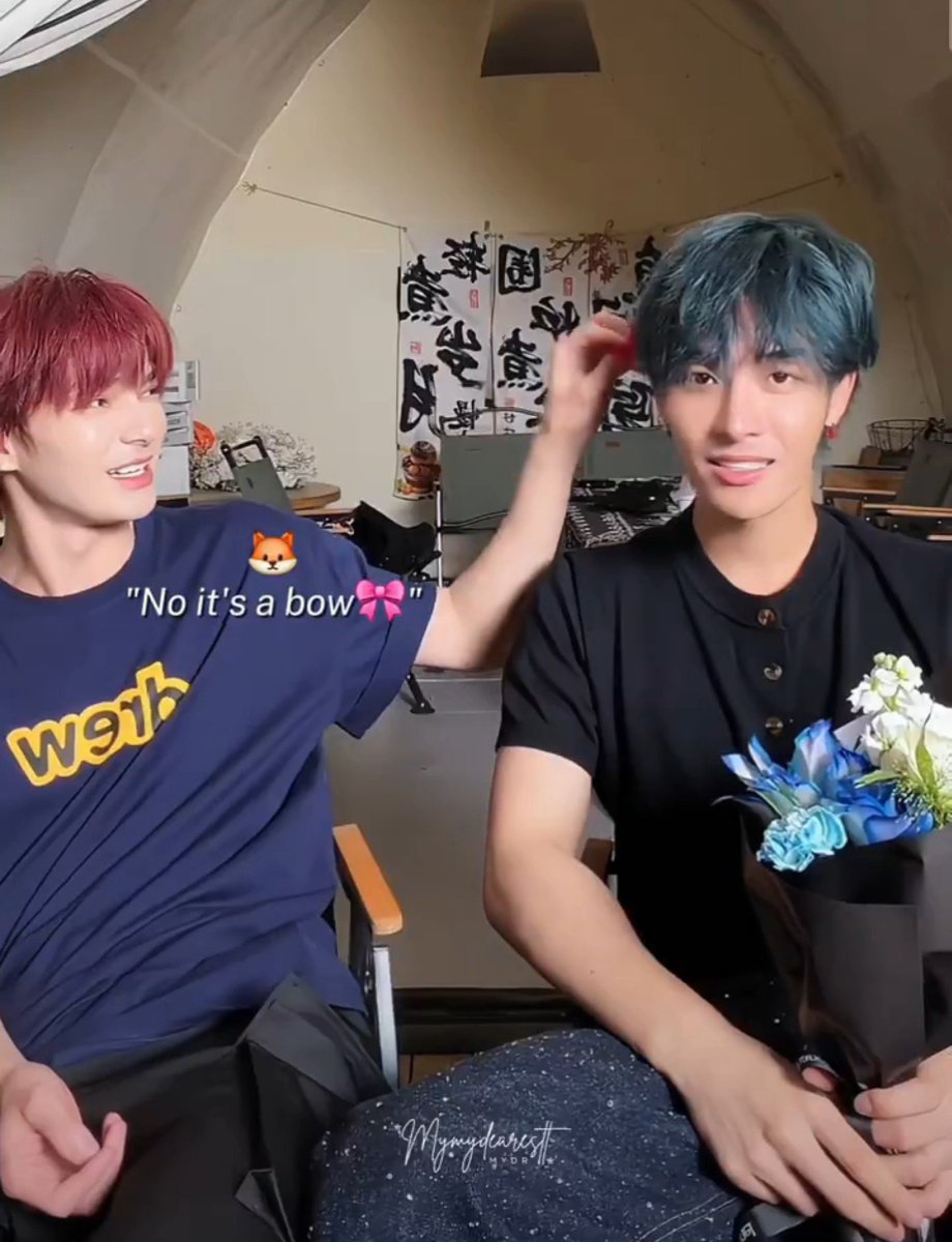 naistoseeu's tweet photo. when xx mentioned about bow before, was he being aware that we of often put a bow on zz and vice verca 🙂‍↔️ https://t.co/DI6JQnocha
