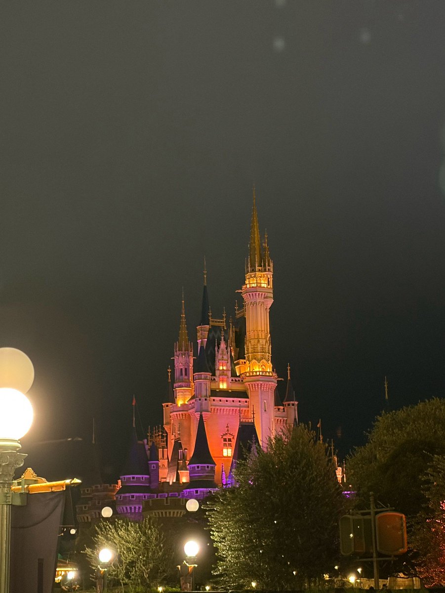 maruwork2023's tweet photo. 昨日は家族でディズニーランドへ
雨予報のなか、なんとか小雨どまりで降ったりやんだりで傘ささずとも楽しめる感じで、おかげかアトラクションの待ち時間も少なく楽しめたことに感謝 https://t.co/CRCCYrZeAF