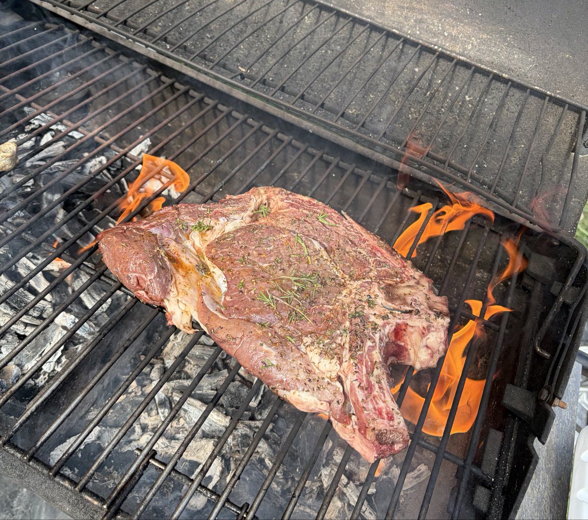 flavskw's tweet photo. La côte de bœuf au barbecue fin septembre est nationaliste https://t.co/52DRcAF6rI