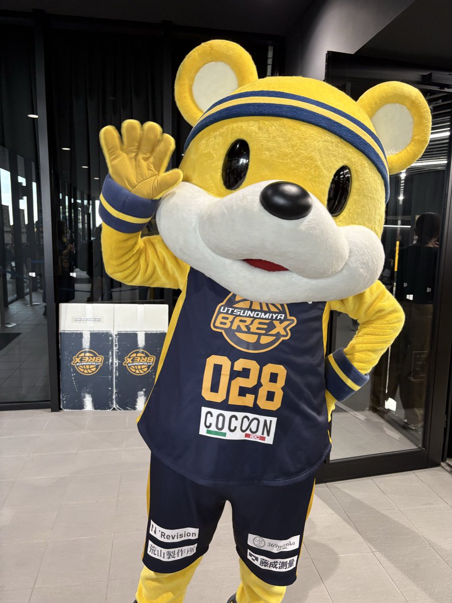 reeeena1776's tweet photo. かわよ🐻🟡 https://t.co/6ONylKy1hQ