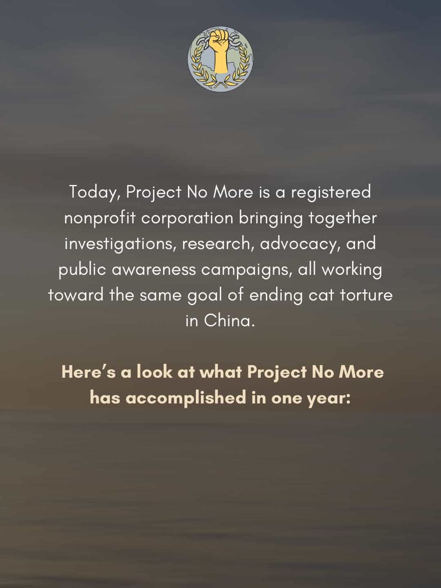Project_NoMore's tweet photo. One Year Anniversary Project No More!

Today, PNM is a registered Non-Profit Corporation, bringing together people globally to fight against animal cruelty!!
🔻A few examples what we accomplished in one year🔻

(Pictures made by a PNM Member for the Anniversary)
#ProjectNoMore https://t.co/k9wFpdwVJK