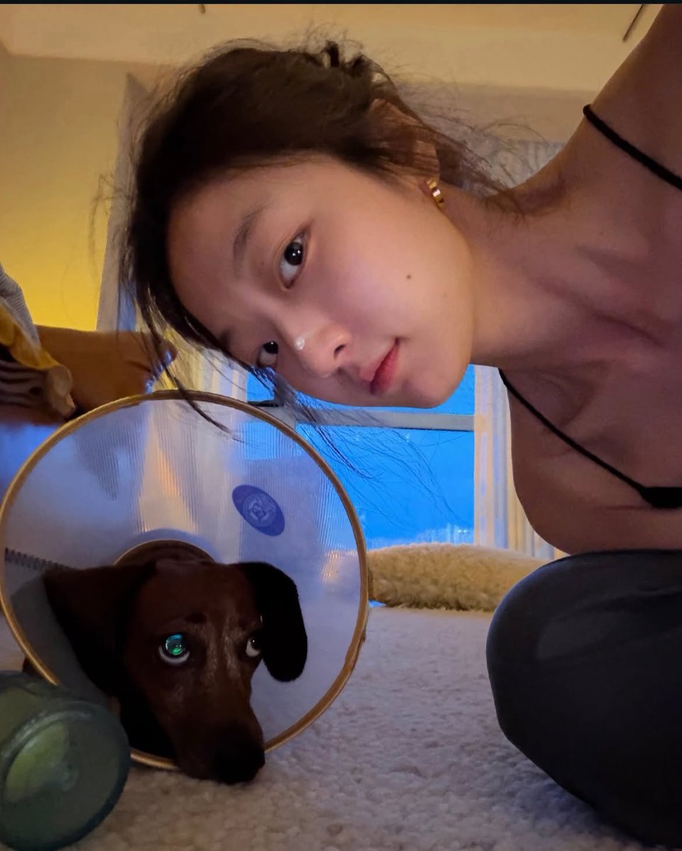 sunqianpics's tweet photo. #sunqian #孙千 260927 sq_niki instagram update https://t.co/cnbBRzKtT2