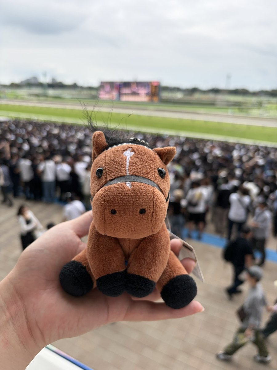 emerald_0415's tweet photo. おドウ、ここが中山競馬��だよ https://t.co/1mr0qCI98H