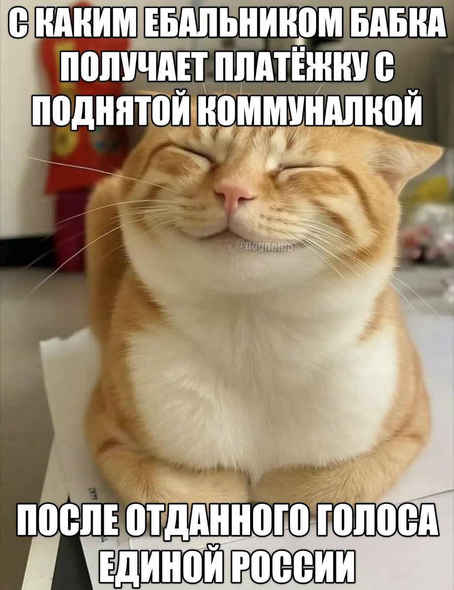 nkostrovsky25's tweet photo. https://t.co/hBhtP6GZ5h