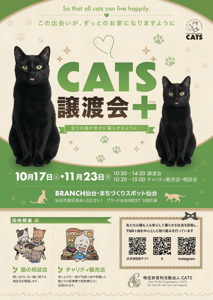 NPO_CATS2026's tweet photo. 次回譲渡会の日付を間違えましたーーーーー😭😭😭
正しくは、
１０月１７日（土）です！

ちなみに１１月は、
１１月２３日（月祝）です！

よろしくお願いします🙇‍♀️ https://t.co/ovdGCbEYyT