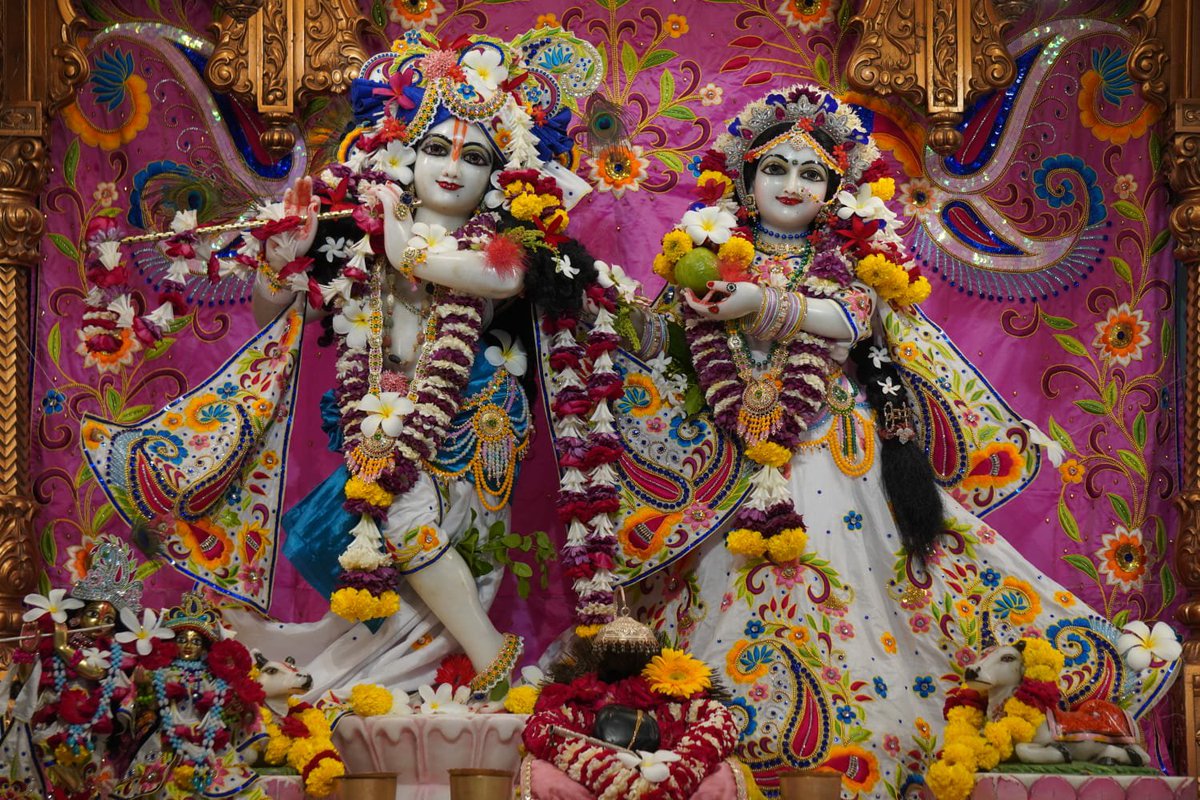 Iskcon_vvn's tweet photo. —❀꧁𝐻𝑎𝑟𝑒 𝐾𝑟𝑖𝑠ℎ𝑛𝑎꧂❀—
🌿🛕Shringar Darshan🛕🌿
—❀꧁27-09-2026꧂❀—
🌹 Sri Sri Radha Giridhariji🌹 
🌷ISKCON VVN Anand🌷
—❀꧁𝐻𝑎𝑟𝑒 𝐾𝑟𝑖𝑠ℎ𝑛𝑎꧂❀— https://t.co/DeQZ8RuX97