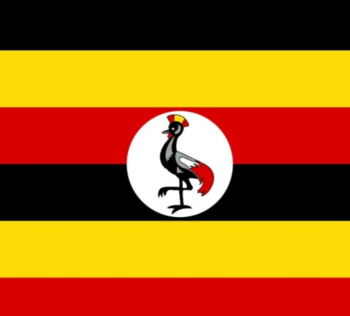 CFCNigerian's tweet photo. BREAKING : Victor Osimhen's ex Teammate at the 2015 Under Seventeen World Cup David akpan Udoh has switched allegiance to Uganda❗

The Ugandan Fa States that the goalkeeper is eligible through His grandparent, auma, who was born in Busia, Uganda. https://t.co/Rc7zfiwlzq