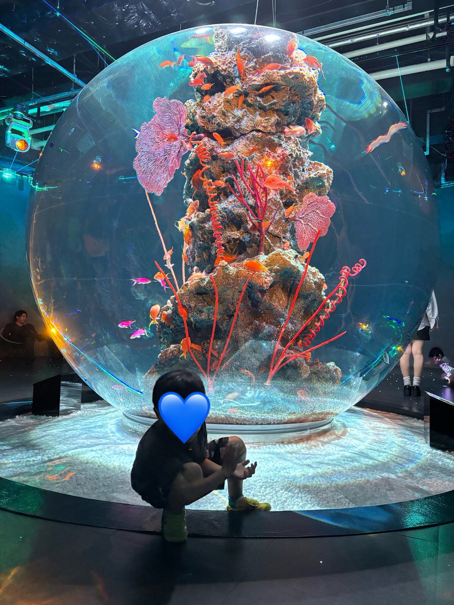 154cm_chan's tweet photo. 三泊四日の旅行最終日は神戸に行ってアトアで癒されて阪急でショッピングした♡
大満足のシルバーウィークだったので明日からまたお仕事がんばろ💪🏻 https://t.co/0vDCotq3R4