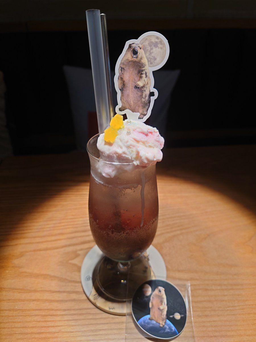 AHCOchan's tweet photo. 吉祥寺マモテラスにあるマーモット村に行ってきた。
カフェもあって、大満足。　

リアルなぬいぐるみと共に、まもちプリン。
ぷるるん。

#マモテラス　#マーモット村　#マーモット　#マーモットカフェ https://t.co/cmzwBNZNr3
