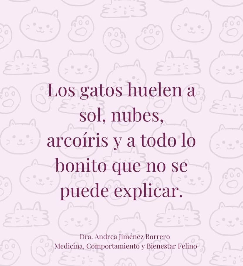 flunxo2's tweet photo. https://t.co/KQQUiYmlJa