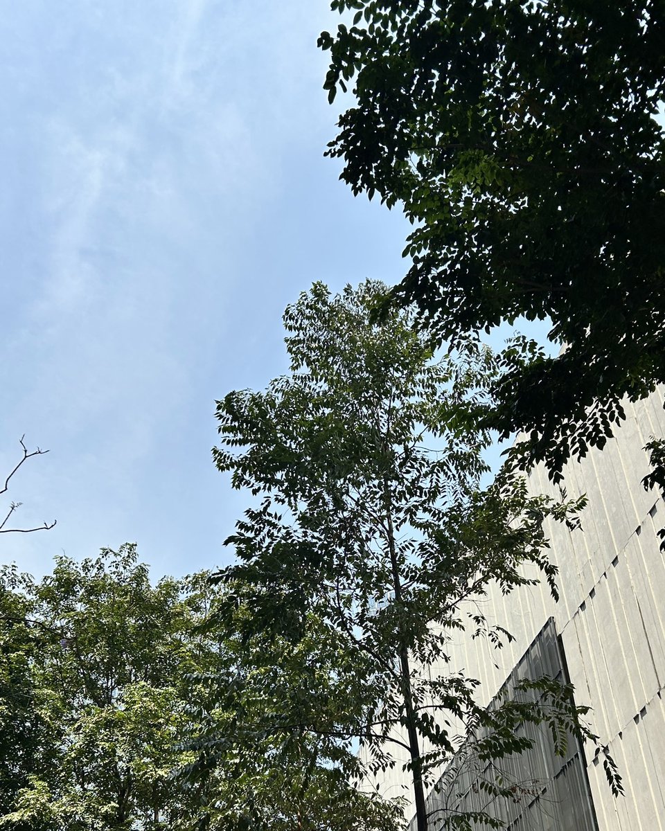 umiomite's tweet photo. 린이랑 커피 나들이 https://t.co/Z4pXxUEqNC