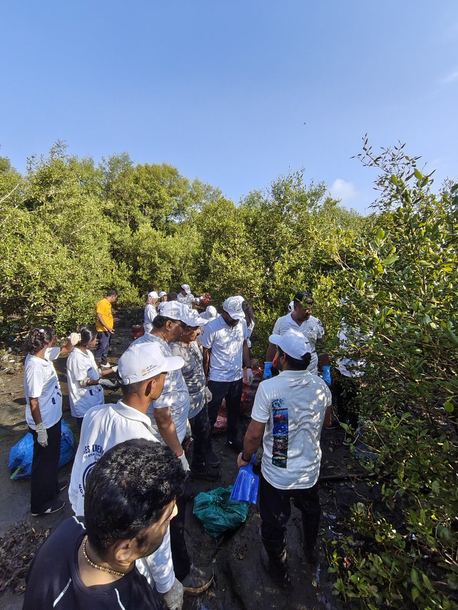 EnvironmentLife's tweet photo. 🌿 Week 319: Protecting the Lungs of Navi Mumbai! 🌊

​On behalf of ELF,we are proud to share that our joint initiative with the @NMMConline under Swachh Bharat Abhiyan &amp; ‘Sewa Sankalp Abhiyan – Swachhata Hi Seva’—achieved another massive milestone at Karave Jetty, Nerul! https://t.co/xNZCsdepI1