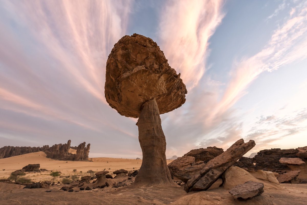 EnnediTchad's tweet photo. 27 Septembre: Journée mondiale du tourisme 
Paysages, patrimoine culturel et biodiversité de l’Ennedi offre un patrimoine exceptionnel à découvrir, valoriser et préserver.

📸 Orozi, Marcus et Michael 
@AfricanParks 
#JournéeMondialeDuTourisme  #Ennedi #Tchad #TourismeDurable https://t.co/3HkkLc5oct