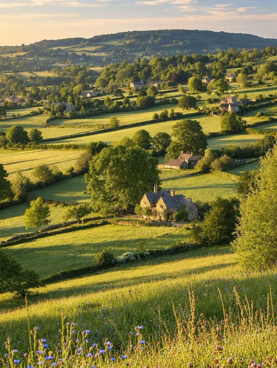 Alina_bloom79's tweet photo. The Cotswolds, England.. https://t.co/lkRIWKQYpV
