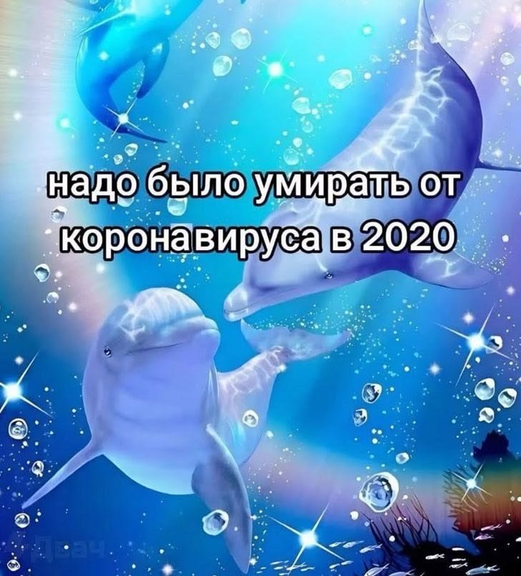 una_rar's tweet photo. Сегодня день грустных постов https://t.co/ojfzBqjhty