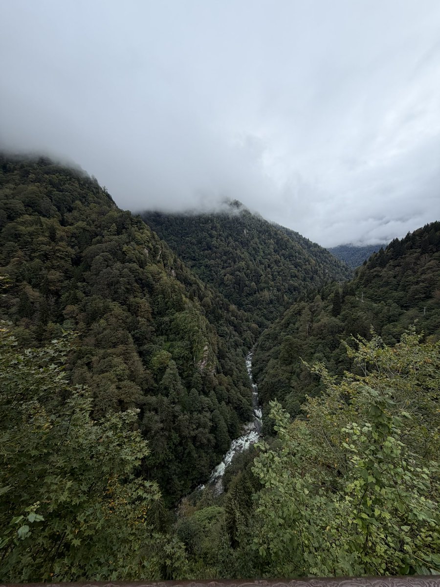 osman_ozen1's tweet photo. Rize’ye bugüne kadar gitmemek büyük hataymış. Hayran kaldım. 💯 https://t.co/NnR7qw3GGF