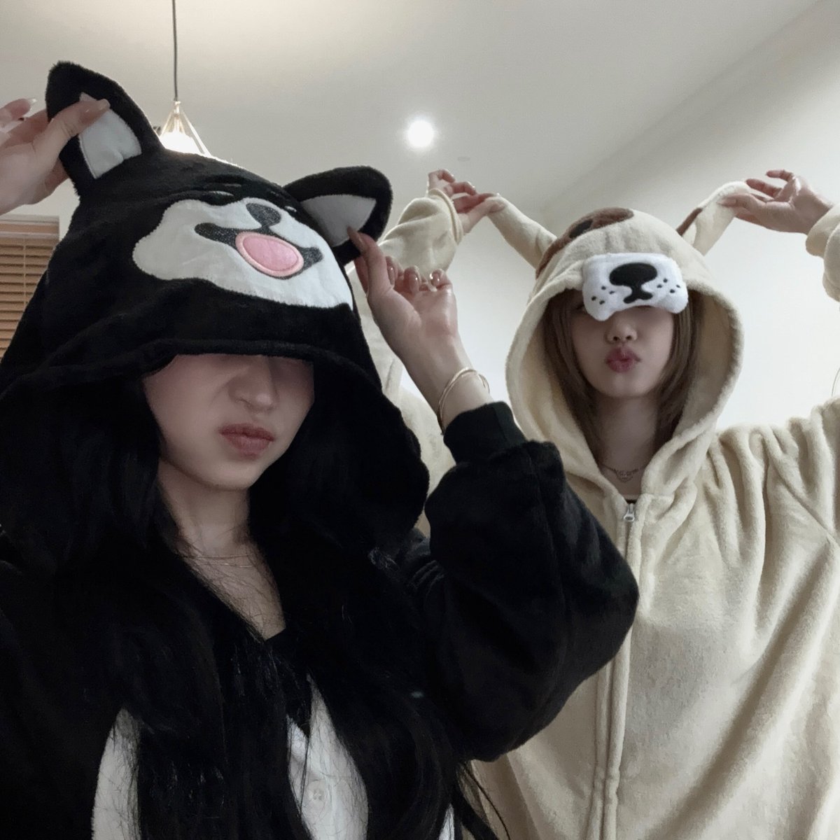ACE_SA7's tweet photo. みなさんの推しケミ(コンビに限らず何人でも)とか気になるのでいたらぜひ教えてください！
ちなみに自分はこの2人です
🦌🐰のお嬢様みたいな空気感が好き https://t.co/xh3nK9xD2C